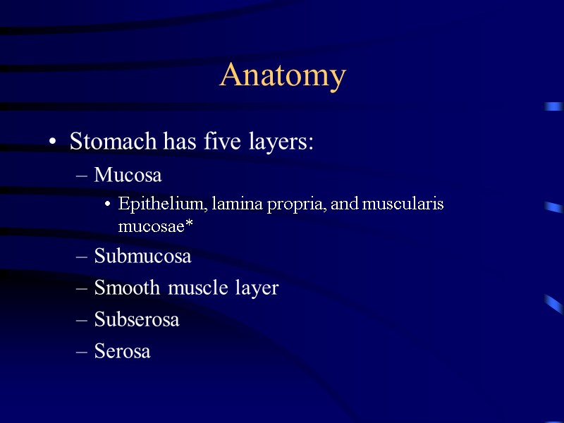 Anatomy Stomach has five layers: Mucosa Epithelium, lamina propria, and muscularis mucosae* Submucosa Smooth